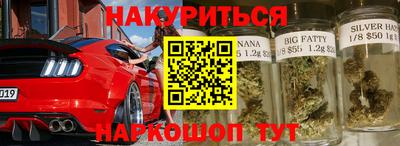 сатива Кандалакша