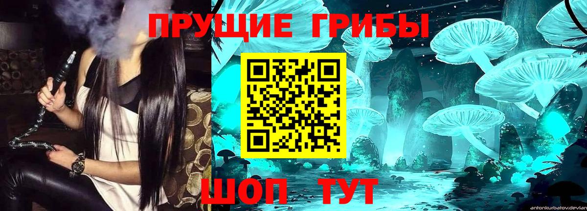 Галлюциногенные грибы Cubensis Лангепас