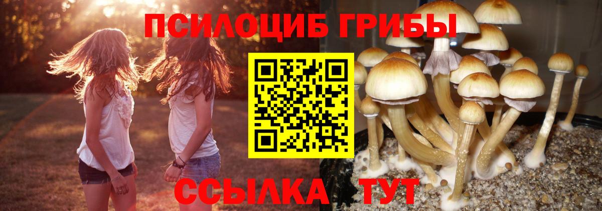 даркнет сайт  Псилоцибиновые грибы GOLDEN TEACHER  Галлюциногенные грибы Psilocybine cubensis  Вход с VPN  Лангепас 